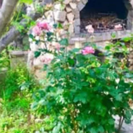 Belu - Two Bedroom With Sea View Apartment Brodarica (Sibenik-Knin)