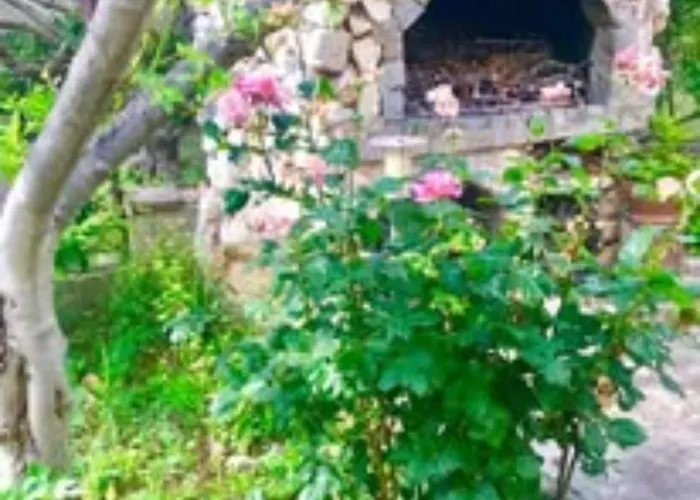 Belu - Two Bedroom With Sea View Apartman Brodarica (Sibenik-Knin)